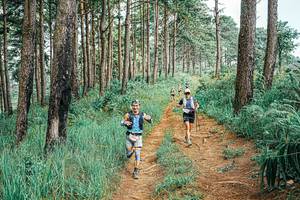 BIB: 
                            <button type="button" onclick="openModal(25697469)" class="btn btn-primary btn-sm float-right btn-popup" data-toggle="modal" data-target=".modal-high-quality">
                        <i class="fas fa-shopping-cart"></i> Add to Cart
                    </button>
                                            <button type="button" onclick="isThisMe(25697469, true)" class="btn btn-success btn-sm float-right btn-popup btn-isme hidden" data-toggle="tooltip" data-placement="bottom" title="นี่คือรูปของคุณใช่ไหม คลิกที่นี่เพื่อเอาเข้าอัลบั้ม">
                        <i class="fas fa-plus"></i> Add to album
                    </button>
                    <button type="button" onclick="isThisMe(25697469, false)" class="btn btn-warning btn-sm float-right btn-popup btn-isnotme hidden">
                        <i class="fas fa-ban"></i> Remove from album
                    </button>